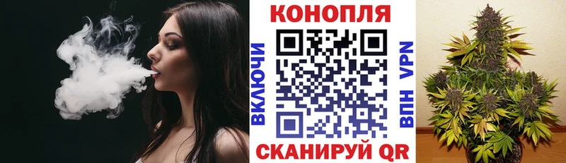 сколько стоит  Тырныауз  KRAKEN зеркало  Бошки марихуана сатива 